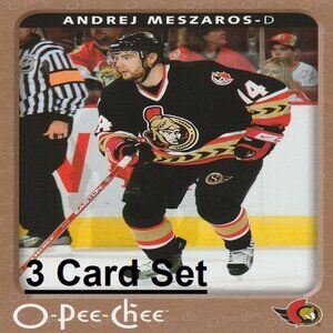 Andrej Meszaros NHL Hockey Card Collection